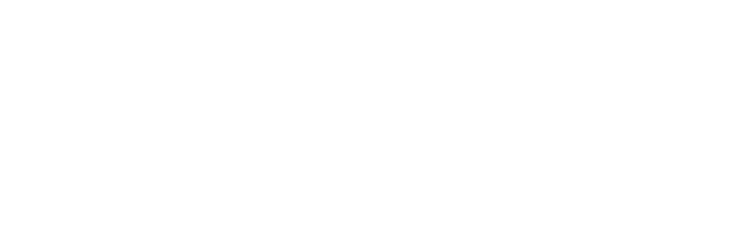 Lev Termoplásticos